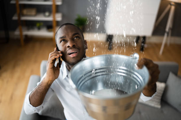 Best Water damage restoration near me  in Perry, IA