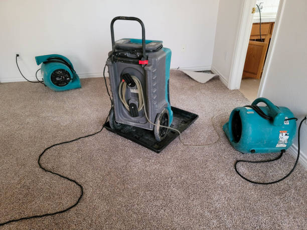  Perry, IA Water damage restoration Pros