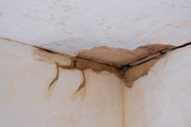 Best Professional water damage repair  in Perry, IA