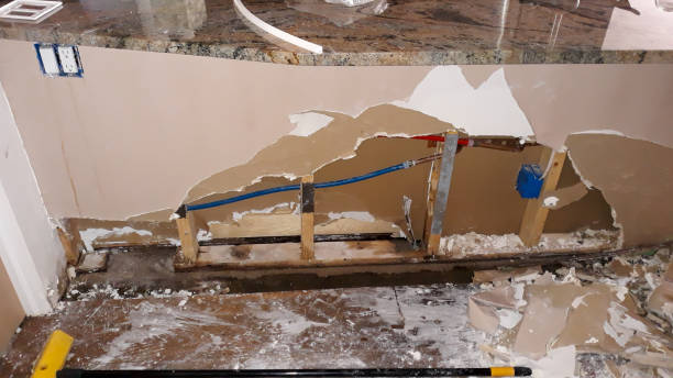 Best Residential water damage restoration  in Perry, IA