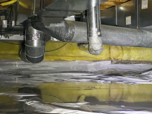 Best Water damage restoration services  in Perry, IA