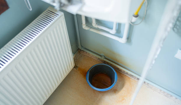 Best Ceiling water damage repair  in Perry, IA