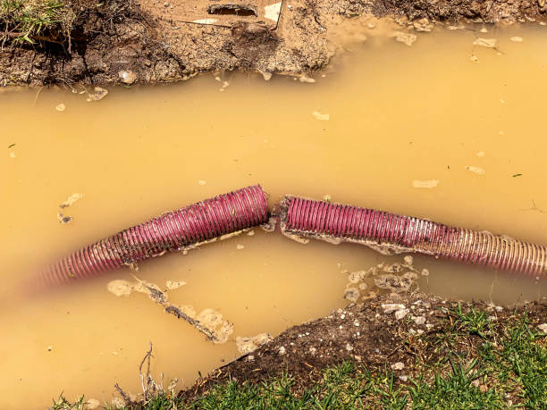 Sewage cleanup and water damage restoration in Perry, IA